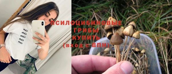 MESCALINE Михайлов