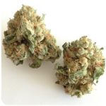 Шишки "White Widow"  (Белая вдова)  Гидропоника -  Бошка VHQ в Тырныаузе